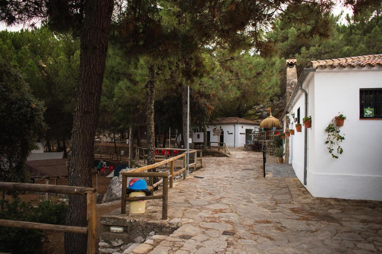 Camping Tajorodillo Grazalema Kültér fotó