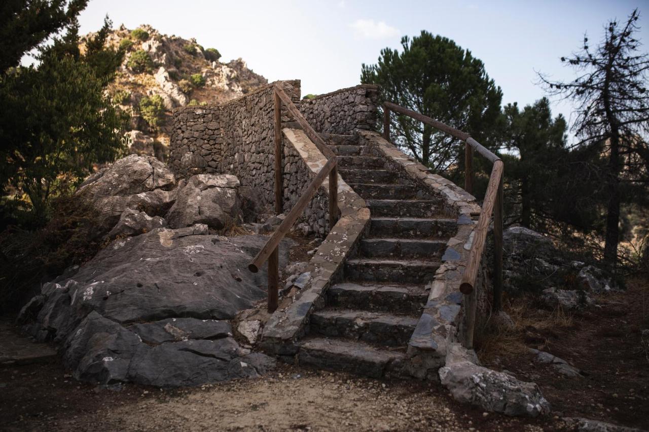 Camping Tajorodillo Grazalema Kültér fotó