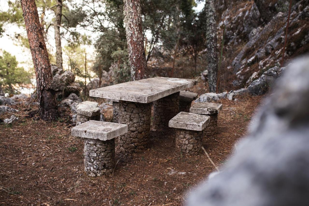 Camping Tajorodillo Grazalema Kültér fotó