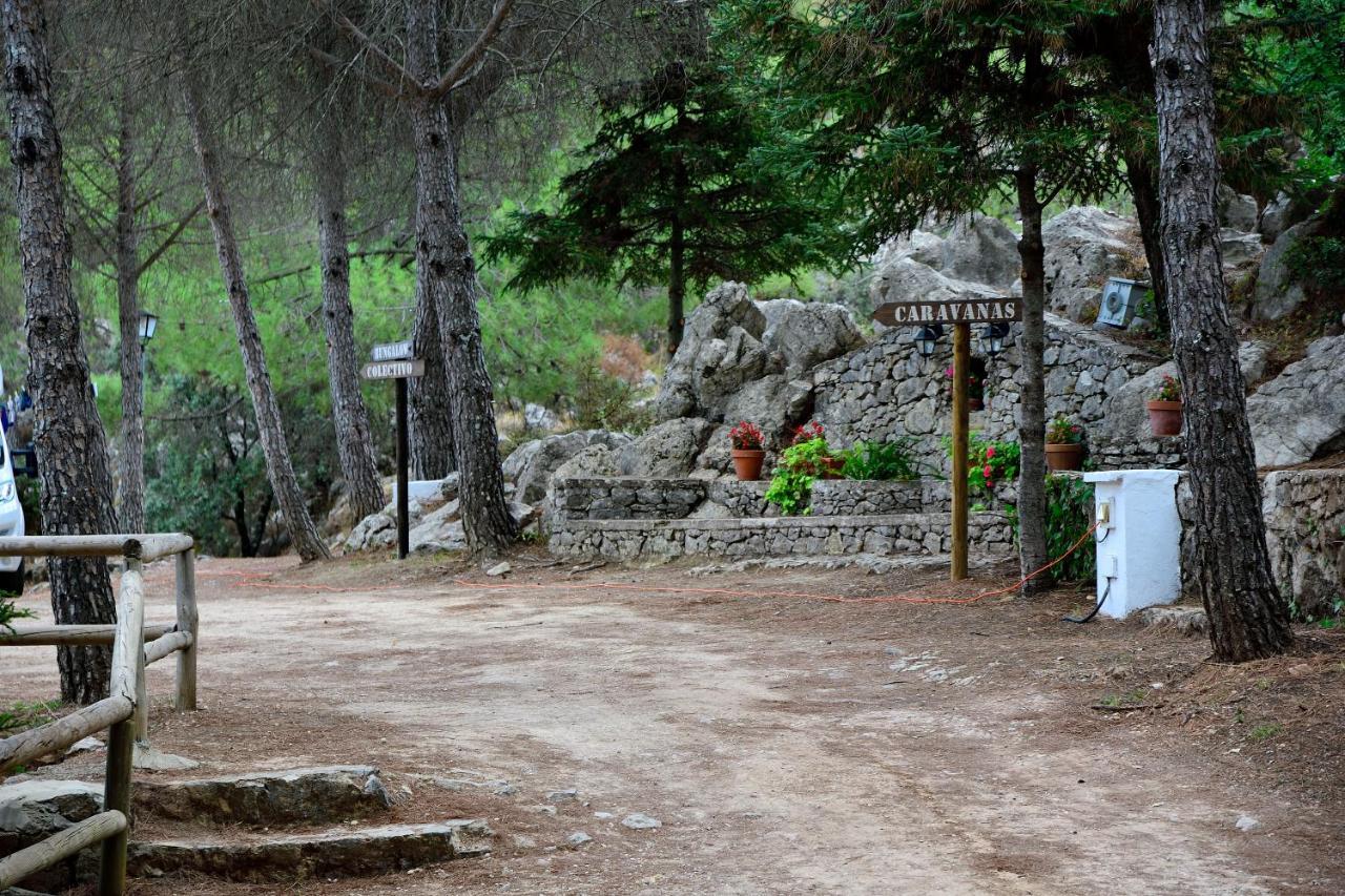 Camping Tajorodillo Grazalema Kültér fotó