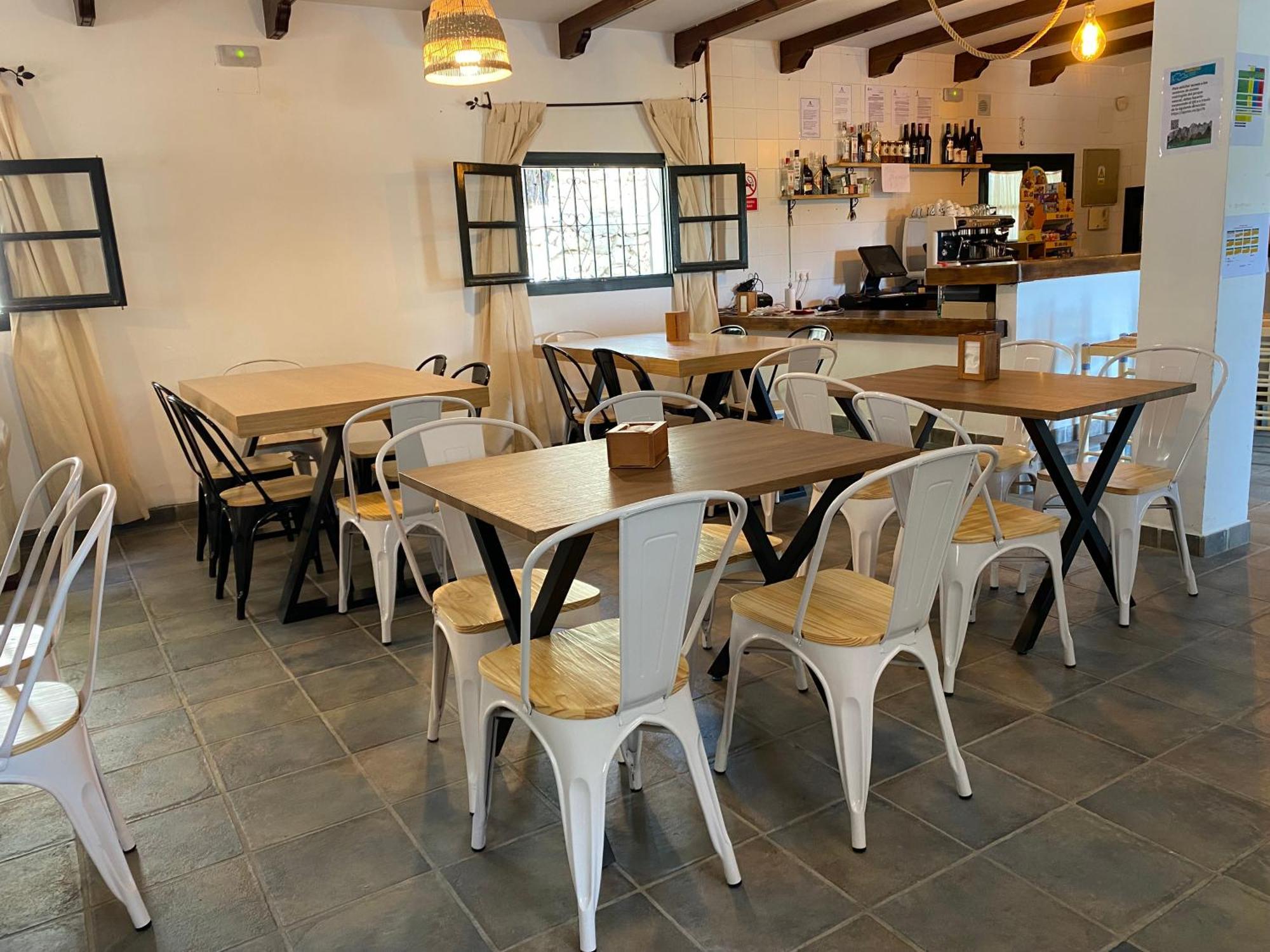 Camping Tajorodillo Grazalema Kültér fotó